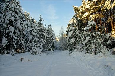 PSP经典战略《R-Type战略》1＆2代确定重制