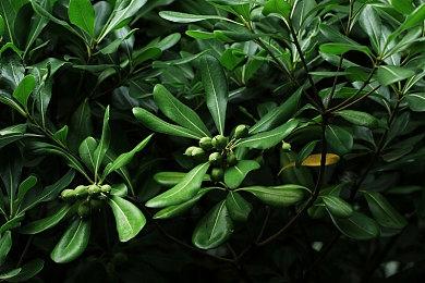 《轩辕剑叁 云和山的彼端》Steam正式发售 玩家反馈游戏暴力移植